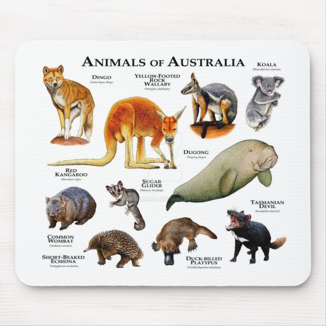 Alfombrilla De Ratón Animales de Australia (Frente)