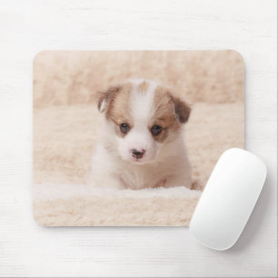 Alfombrilla De Ratón Animales de bebé más afectados   Baby Corgi