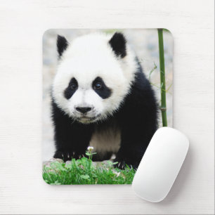Alfombrilla De Ratón Animales de bebé más afectados   Baby Panda Bear