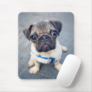 Alfombrilla De Ratón Animales de bebé más afectados   Baby Pug