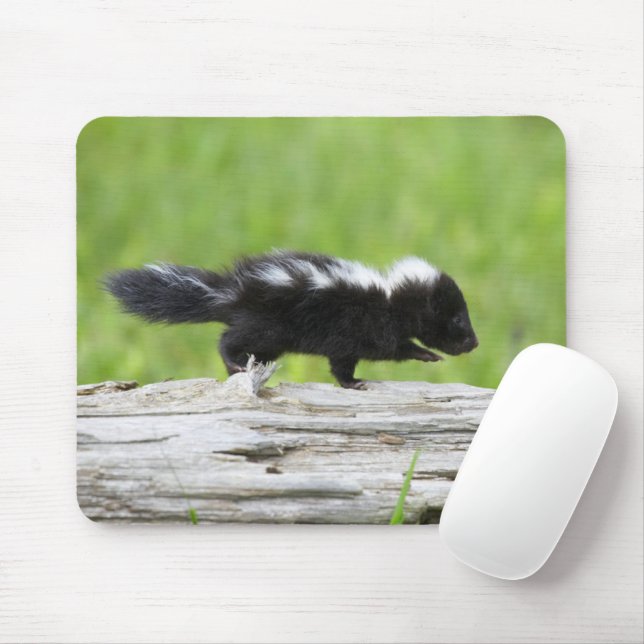 Alfombrilla De Ratón Animales de bebé más afectados | Baby Skunk (Con ratón)