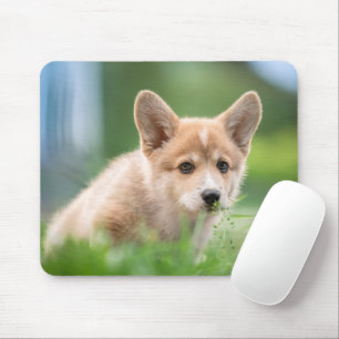 Alfombrilla De Ratón Animales de bebé más afectados   Cachorro de Corgi
