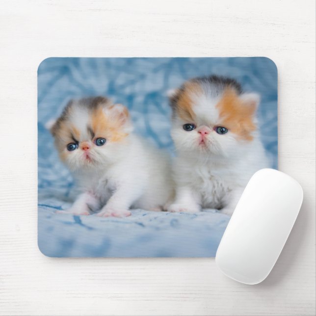 Alfombrilla De Ratón Animales de bebé más afectados | Calico Kitten per (Con ratón)