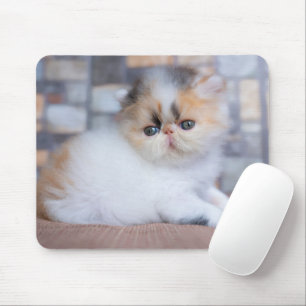 Alfombrilla De Ratón Animales de bebé más afectados   Calico Persian Ki