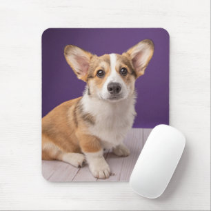 Alfombrilla De Ratón Animales de bebé más afectados   Corgi Puppy sobre