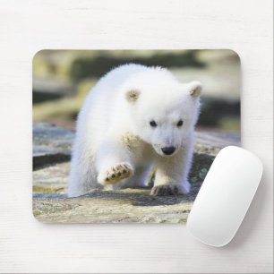 Alfombrilla De Ratón Animales de bebé más afectados Cubo de oso polar