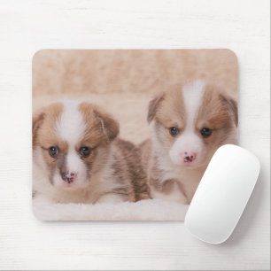 Alfombrilla De Ratón Animales de bebé más afectados   Dos Cachorros Cor