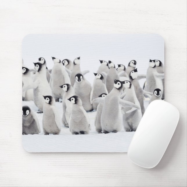 Alfombrilla De Ratón Animales de bebé más afectados | Emperador Pingüin (Con ratón)