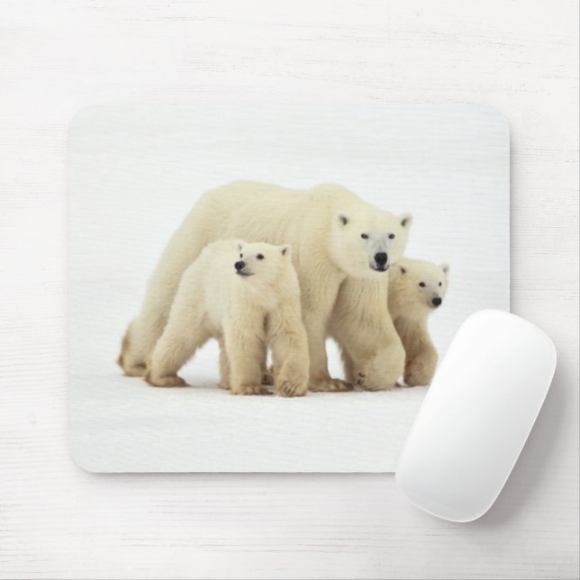 Alfombrilla De Ratón Animales de bebé más afectados | Familia Oso Polar (Con ratón)