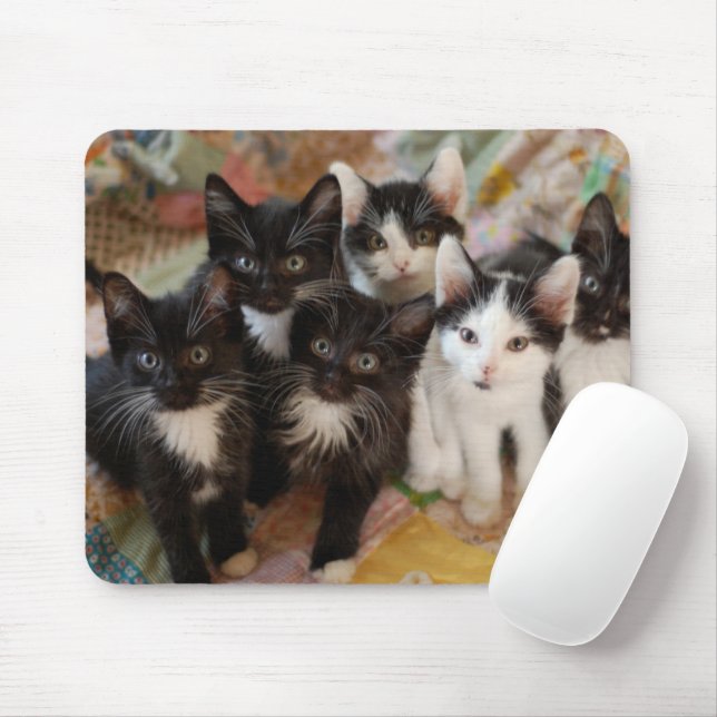 Alfombrilla De Ratón Animales de bebé más afectados | Gatitos blancos y (Con ratón)