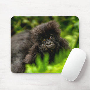 Alfombrilla De Ratón Animales de bebé más afectados Gorila de montaña
