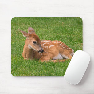 Alfombrilla De Ratón Animales de bebé más afectados Little Fawn