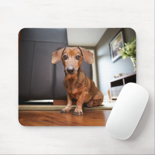Alfombrilla De Ratón Animales de bebé más afectados Mini Dachshund Pu