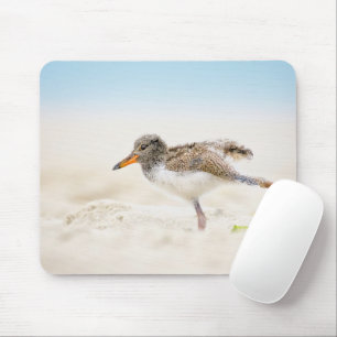 Alfombrilla De Ratón Animales de bebé más afectados Oystercatcher Chi
