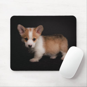 Alfombrilla De Ratón Animales de bebé más afectados   Pequeño Corgi