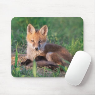 Alfombrilla De Ratón Animales de bebé más afectados   Red Fox Kit Relax