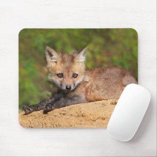 Alfombrilla De Ratón Animales de bebé más afectados   Red Fox Pup