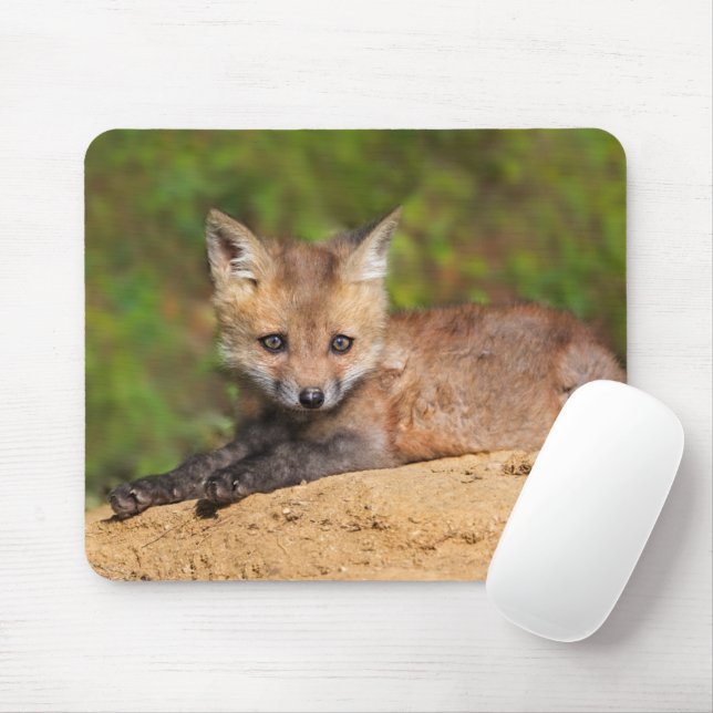 Alfombrilla De Ratón Animales de bebé más afectados | Red Fox Pup (Con ratón)