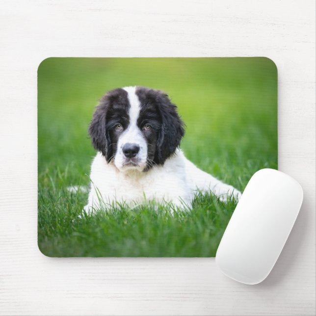 Alfombrilla De Ratón Animales de bebé más afectados | Tubería de Terran (Con ratón)