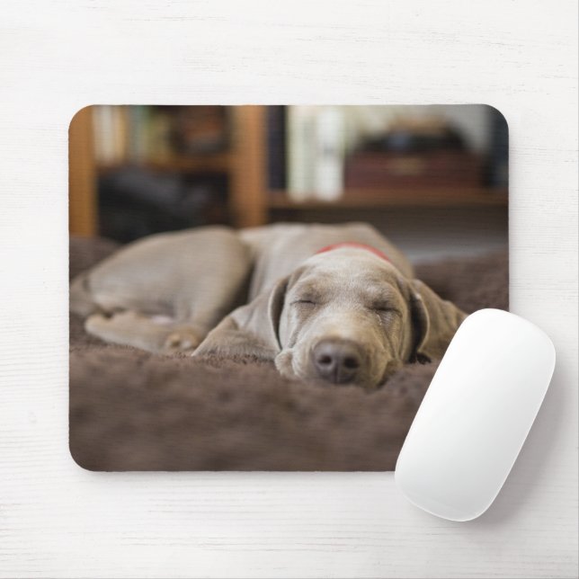 Alfombrilla De Ratón Animales de bebé más afectados | Weimaraner Puppy  (Con ratón)
