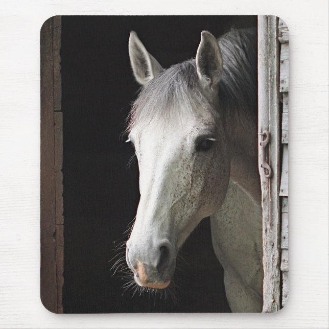 Alfombrilla De Ratón Animales grises Mousepad del caballo de la yegua (Frente)
