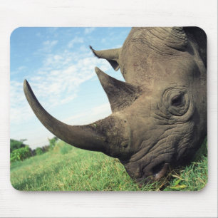 Alfombrilla De Ratón Animales Mousepad 104
