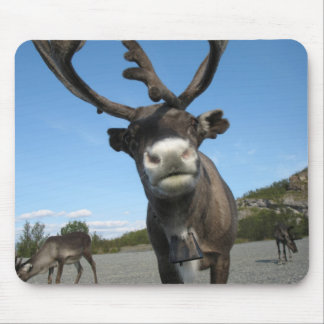 Alfombrilla De Ratón Animales Mousepad 63