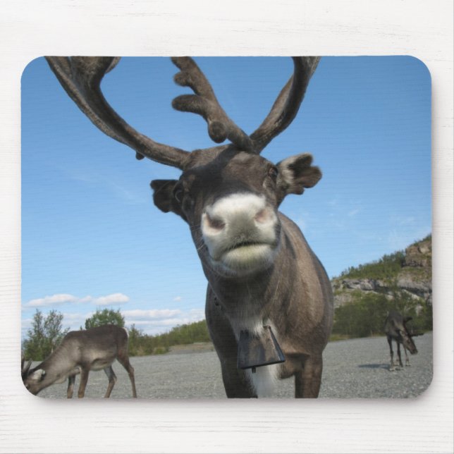 Alfombrilla De Ratón Animales Mousepad 63 (Frente)
