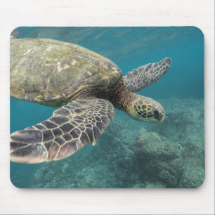 Alfombrilla De Ratón animales, naturaleza, tortuga