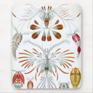Alfombrilla De Ratón Animales Oceánicos Antiguos, Copepoda por Ernst Ha
