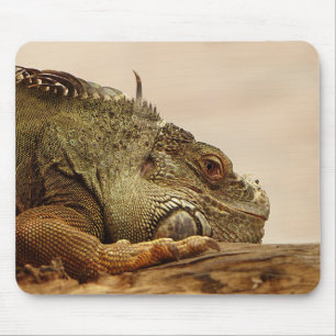 Alfombrilla De Ratón Animales, reptiles, lagartos