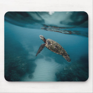 Alfombrilla De Ratón Animales, tortugas, agua