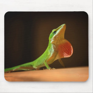Alfombrilla De Ratón Anole Lizard Verde con Thraot Rojo