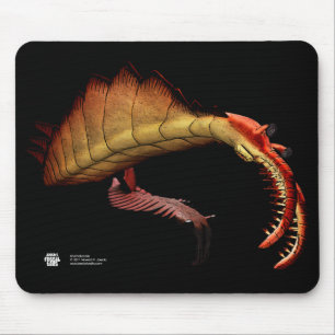 Alfombrilla De Ratón Anomalocaris Mousepad