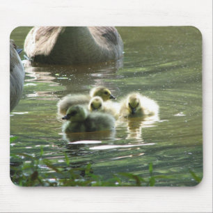 Alfombrilla De Ratón Ansarones Mousepad