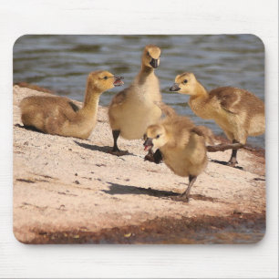 Alfombrilla De Ratón Ansarones Mousepad de los gansos de Canadá