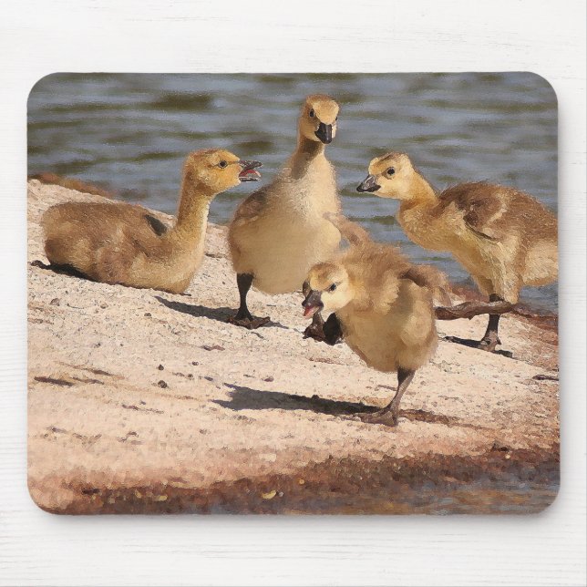 Alfombrilla De Ratón Ansarones Mousepad de los gansos de Canadá (Frente)