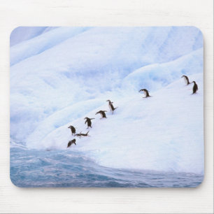 Alfombrilla De Ratón Antártida, Península Antártica. Barbijo