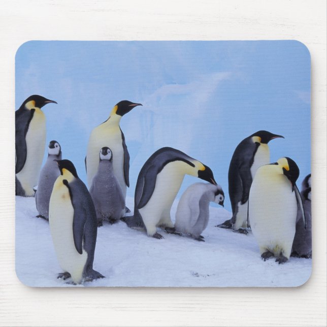 Alfombrilla De Ratón Antártida, Pingüinos Emperadores (Frente)