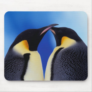 Alfombrilla De Ratón Antártida, Pingüinos Emperadores