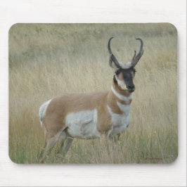 Alfombrilla De Ratón Antelope Pronghorn Big Buck