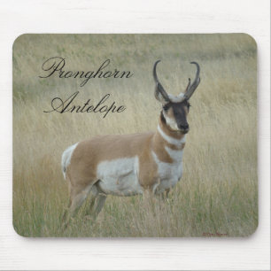 Alfombrilla De Ratón Antelope Pronghorn Big Buck