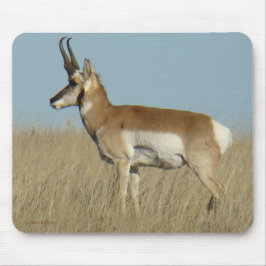 Alfombrilla De Ratón Antílope de A46 Pronghorn