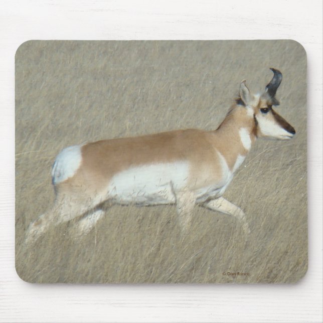Alfombrilla De Ratón Antílope Young Buck de A44 Pronghorn (Frente)