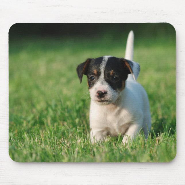 Alfombrilla De Ratón Apertura de Jack Russell Terrier (Frente)