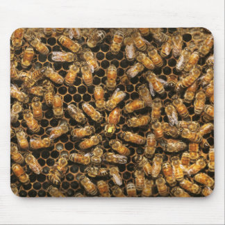 Alfombrilla De Ratón Apiario - Abeja - Un granizo a la reina