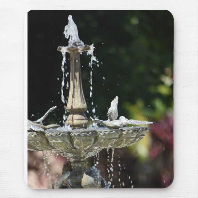 Alfombrilla De Ratón Aplastamiento desde la fuente del agua en Hollis G (Frente)