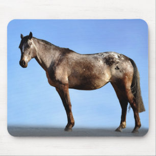 Alfombrilla De Ratón Appaloosa