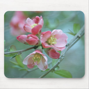 Alfombrilla De Ratón Apple Blossom #P0356 Mousepad