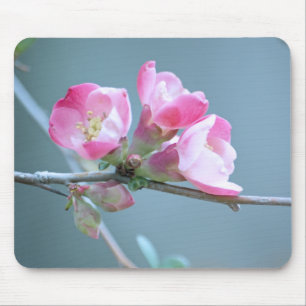 Alfombrilla De Ratón Apple Blossom #P0358 Mousepad